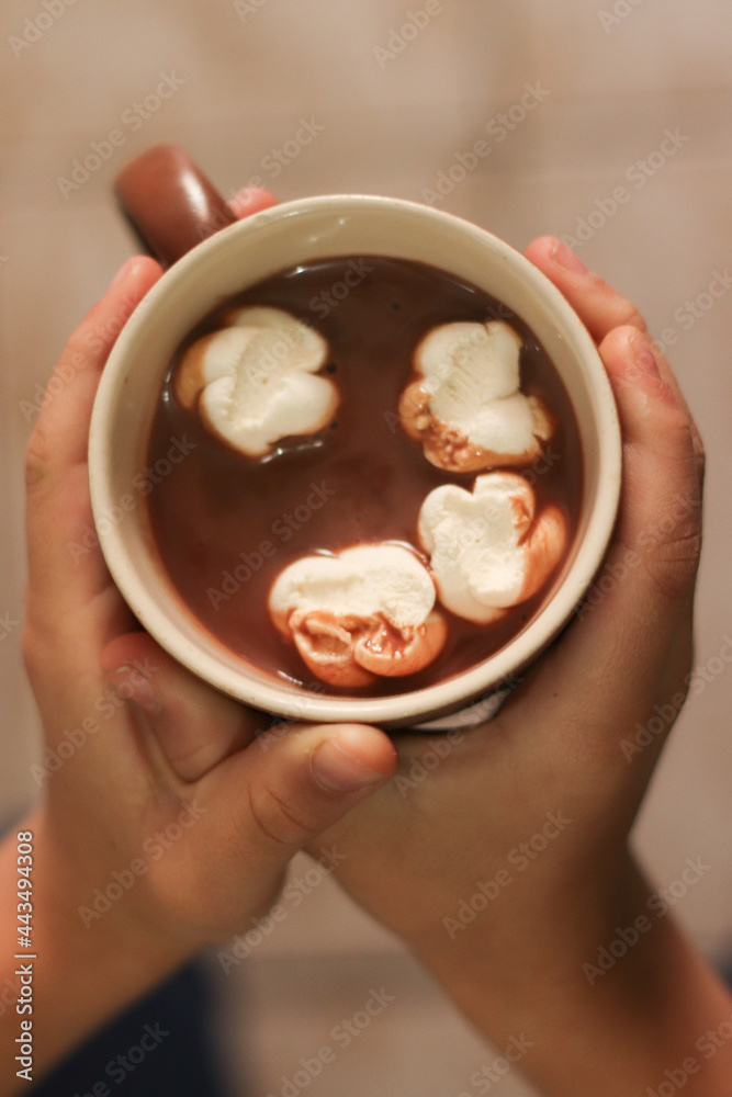 Hands holding a cup of hot chocolate with marshmallows Hands holding a cup of hot chocolate with marshmallows