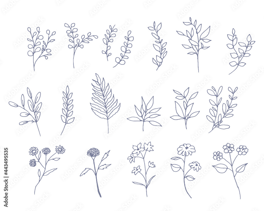 手書きの花と草木線画イラストセット Set Of Floral Elements For Graphic And Web Design Vector Illustrations For Beauty Stock Vector Adobe Stock
