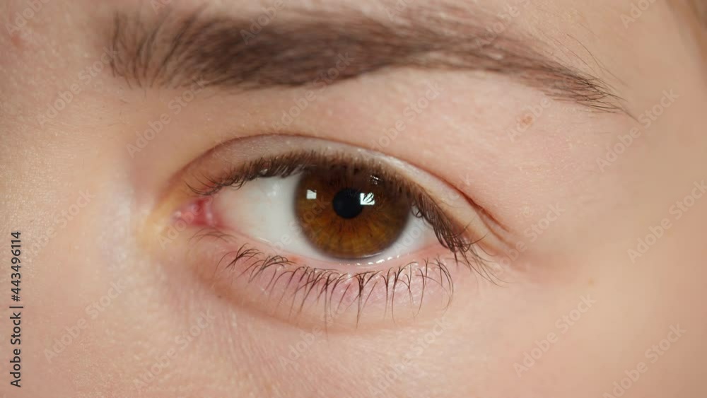 Close-up shooting of narrowing of pupil, changing of brown eye pupil size. Young woman`s look. Vision and eye treatment concept. Close-up shooting of narrowing of pupil, changing of brown eye pupil size. Young woman`s look. Vision and eye treatment concept.