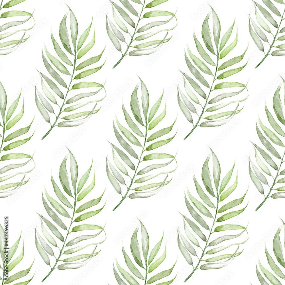 On a white background is a tropical leaf.Made in watercolor technique.the Leaves are light green.