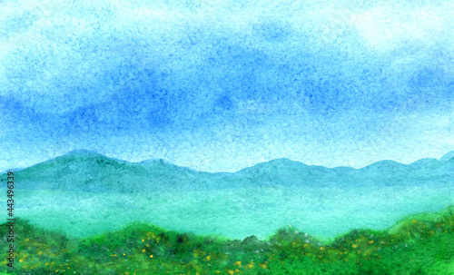 Green grass and flowers on mountain meadow in watercolor