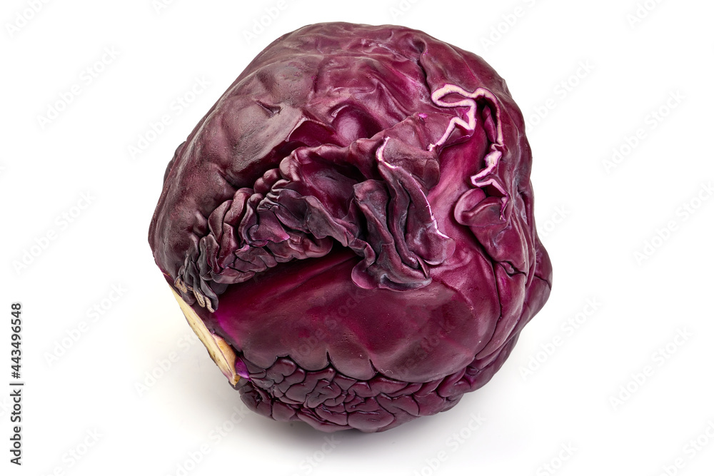 Obraz premium Red cabbage, isolated on white background. High resolution image.