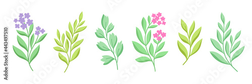 Vector set of floral elements design.   Modern illustration with leaves for template  logo  print design  social media.