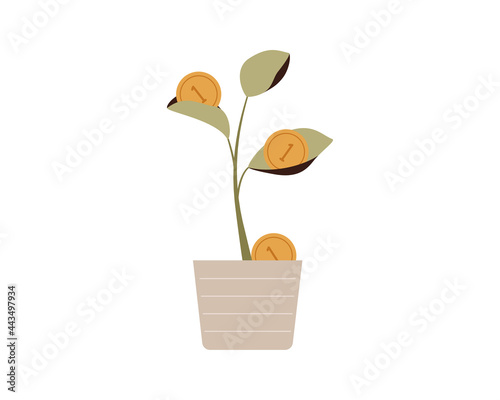 Money tree grows in the flower pot. Gold coins lying on the leaves of plant. Financial and green economy concept.Vector illustration