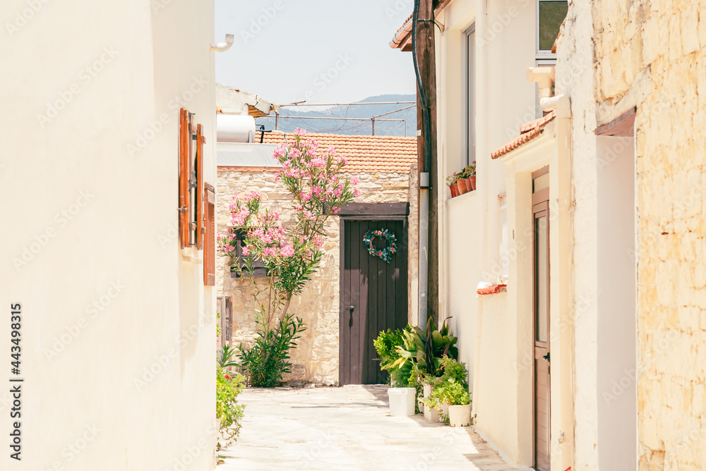 Fototapeta premium Sunny narrow street in old village Omodos on Cyprus. Stone walls and vibrant green plants on a sunny day.