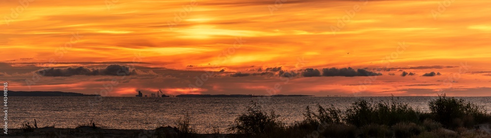 Obraz premium Beautiful see landscape with swan, long exposure with clouds, panorama, Baltic See