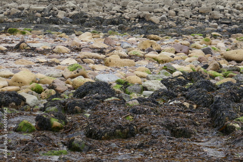 Coloured stones on pebble beach