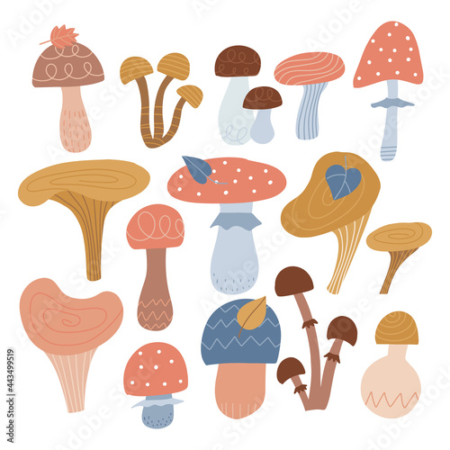 Abstract mushrooms set. Autumn mood. Hand drawn big vector collection of various types of mushrooms. Colored trendy cute flat illustration.
