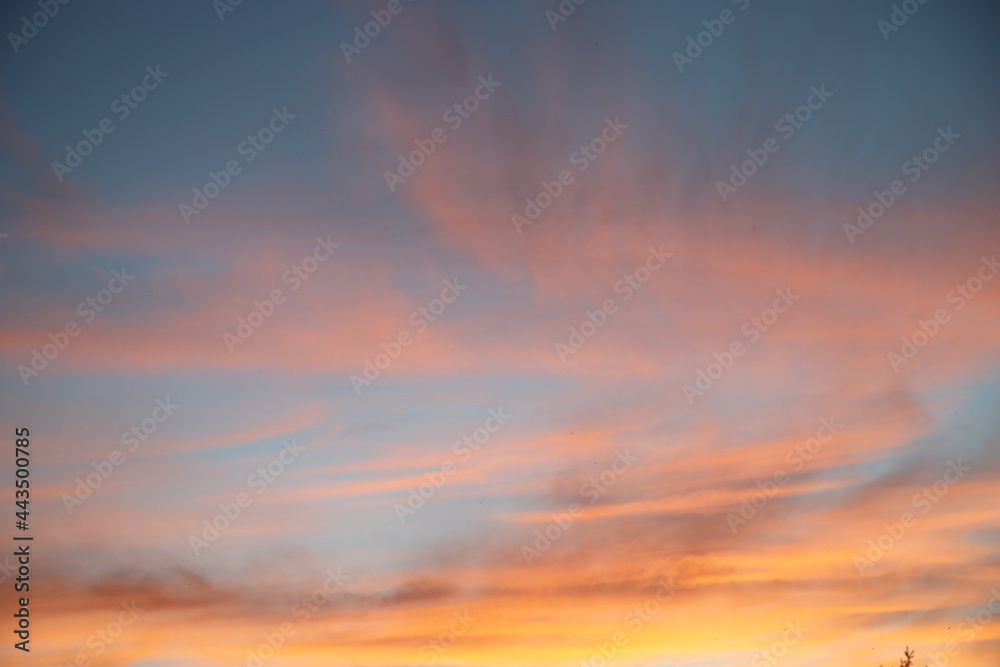 Beautiful clouds at sunset. Background image. Copy space
