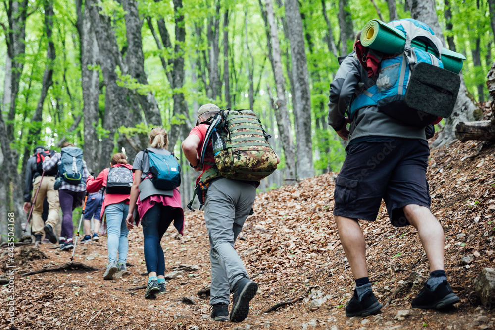 men and women travel in the woods men and women travel in the woods