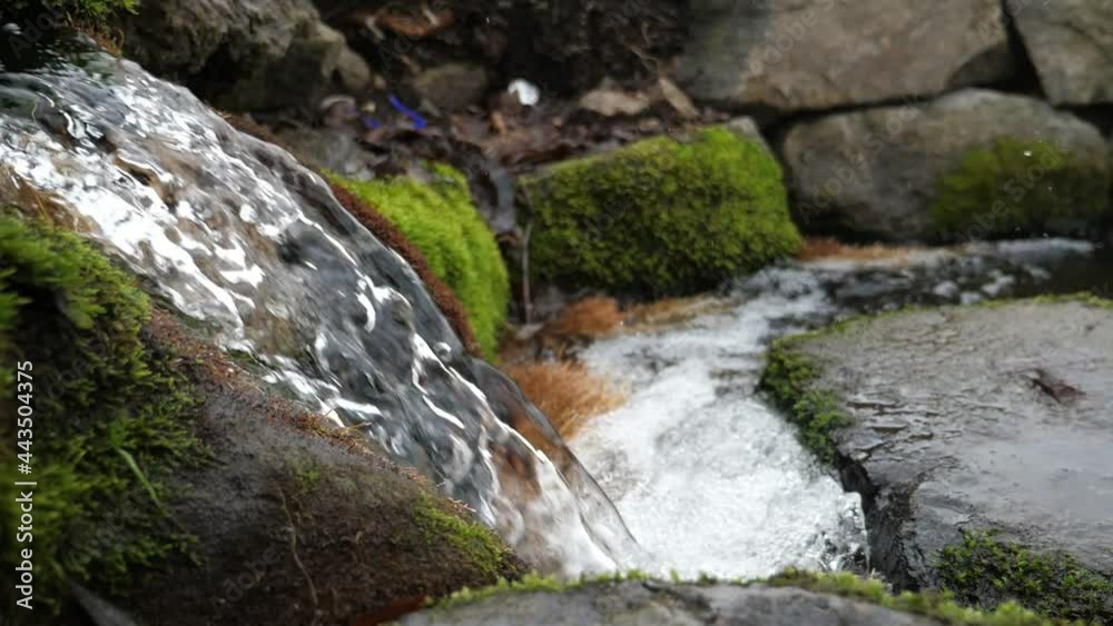 Mountain groove with waterfall streams running at a steep turn in an old forest in summer Mountain groove with waterfall streams running at a steep turn in an old forest in summer