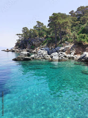 Beautiful view of the azure coast  rocks and pine trees. The Aegean sea. Turkey  Kusadasi.