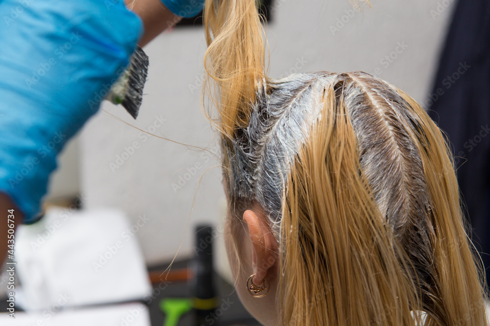 Fototapeta premium A hairdresser applies paint with a brush to a woman's hair in a beauty salon.