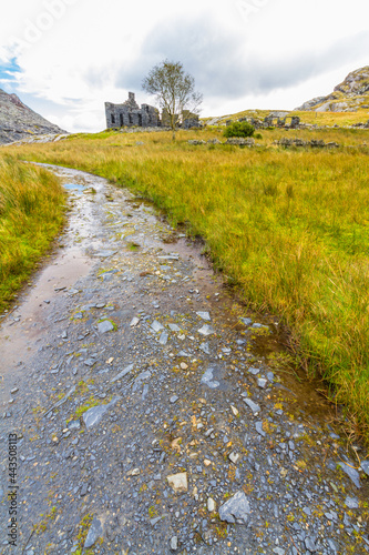 Ruined terrace of slate buildings in wilderness. photo