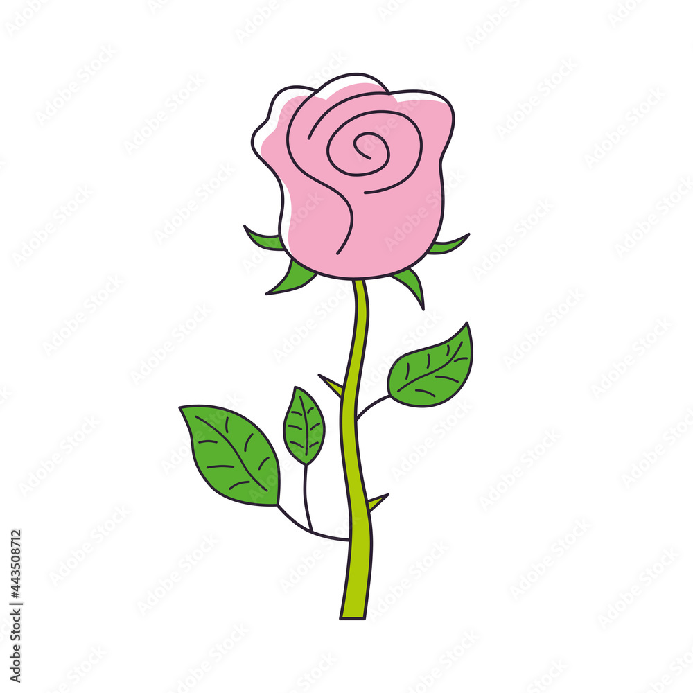 Obraz premium Pink rose flower isolated cartoon vector