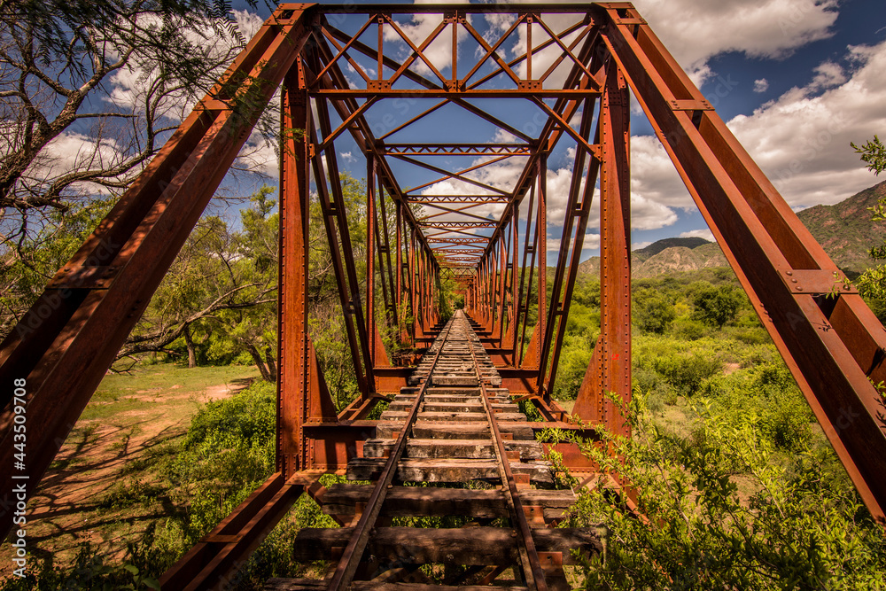 Front view of a train bridge from a closed train line in Salta, Argentina.

Train bridge from a closed train line, in a little town called Alemania, Salta Province, Argentina.