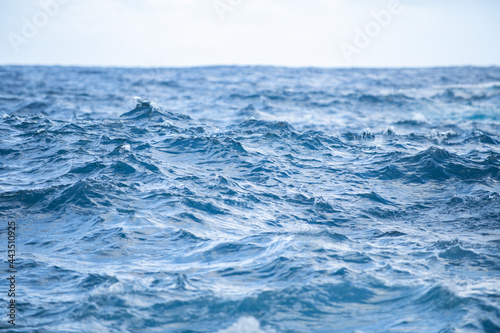 Fototapeta Naklejka Na Ścianę i Meble -  Sea abstract or rippled water texture background. Calm water surface texture with splashes and waves. Abstract nature background. Surface of blue ocean water.
