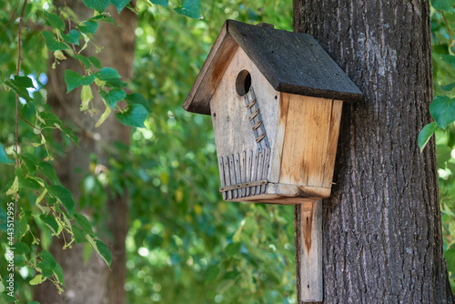 Birdhouse for birds on a tree.