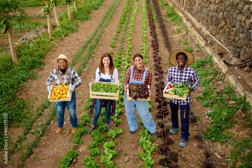 Photography Smiling multiracial farmers with fresh vegetables in boxes on plantation