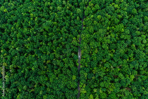 alone white car drives on an asphalt road through a dense green forest. Drone top view.