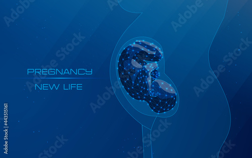 Close-up of abstract pregnant woman with embryo. New life. Preparation for childbirth. pregnancy concept, baby and mother communication, maternity or medical clinic .low poly .wireframe .plexus .dots