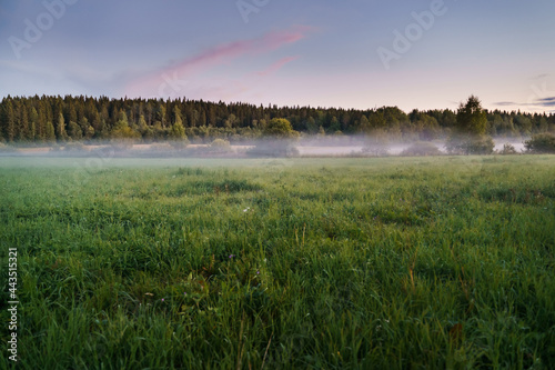 Horizontal green field in fog against the background of a dense forest and a sunset sky.