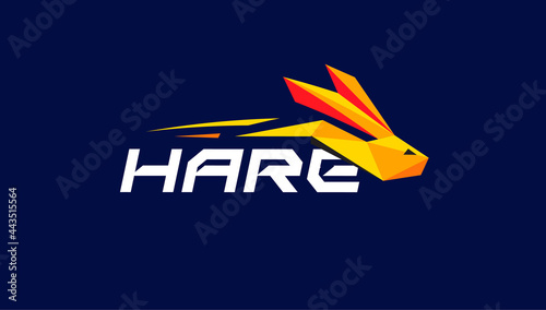 Hare logo concept geometric rabbit icon. Run Bunny vector logotype for speed race, sport, automotive and abstract dynamic style logo. Action and drive polygonal app pictogram. Vector illustration