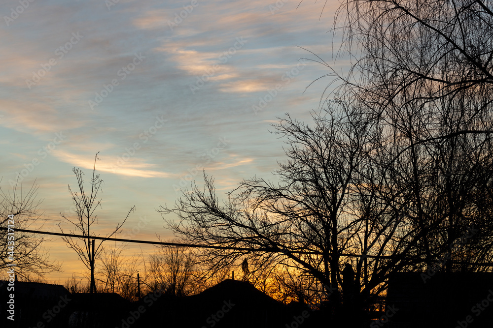 Evening sunset over the village. Silhouettes of trees against a cloudy sky.