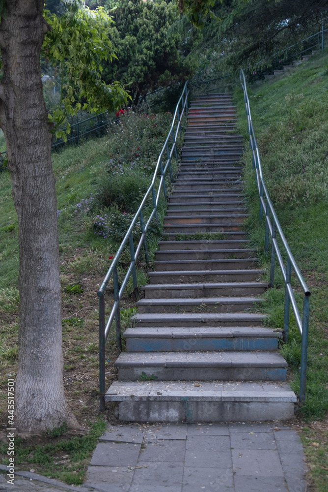 path and steps in the public park, concrete stairs on grass field path and steps in the public park, concrete stairs on grass field