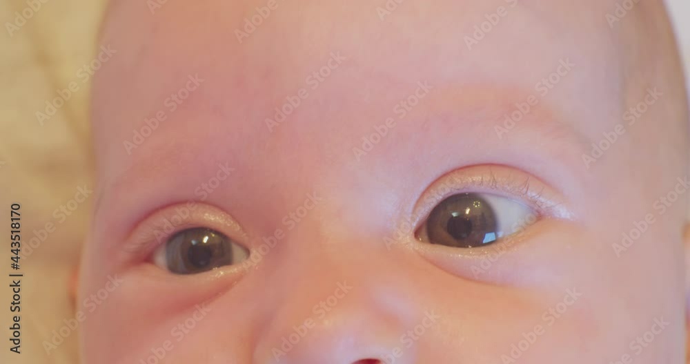 curious surprised look of a little cute baby.close-up. curious surprised look of a little cute baby.close-up.