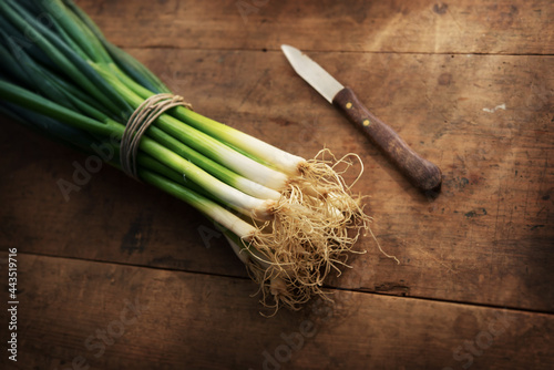 Fresh harvested bundle of scallions on a old grungy table with small knife. photo