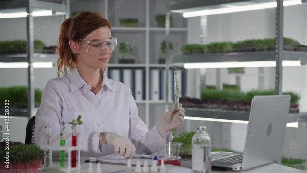 biological research, female biologist communicates with laboratory