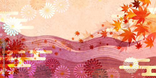 紅葉　もみじ　秋　背景