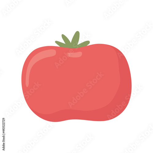 fresh tomato icon