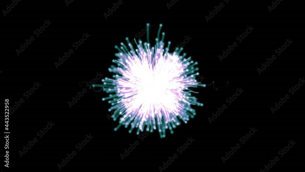 Animation of exploding pink firework on black background Animation of exploding pink firework on black background