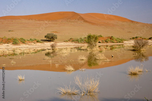 Sand dunes and pond at Sossusvlei, Namib-Naukluft Park, Namibia