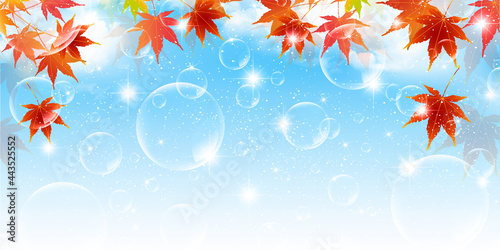 紅葉　秋　風景　背景