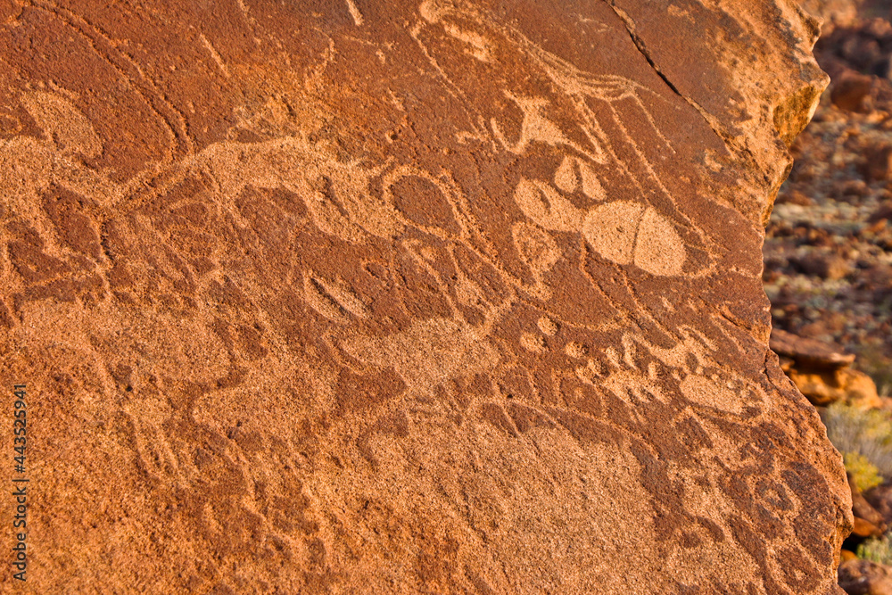 Fototapeta premium San rock art at Twyfelfontein, Namibia