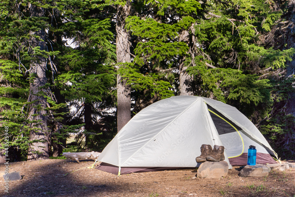 A small backpacking tent occupies a remote wilderness campsite in a densely wooded forest.  Hiking boots and a water bottle sit outside the tent's open door.