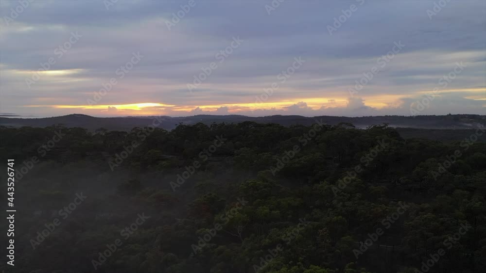 Aerial: Rising higher over forest and bushland with patches of low lying fog during a morning sunrise in Australia Aerial: Rising higher over forest and bushland with patches of low lying fog during a morning sunrise in Australia