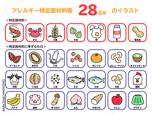 食物アレルギー　アイコン　食品　特定原材料　フルカラー