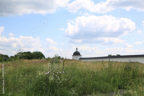 Summer landscape with a monastery.
