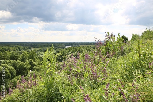 Summer landscape in the river valley.