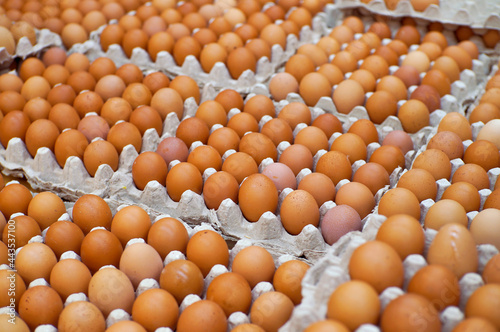 Eggs in the market
