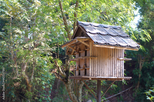 Wooden Bird House at Forest © fikri