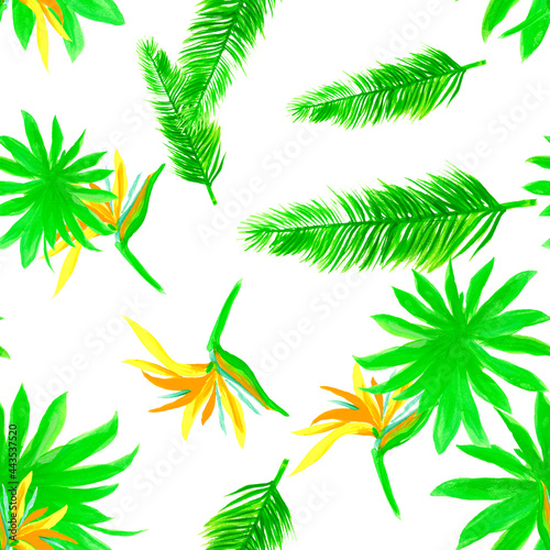 Organic Pattern Leaf. Green Seamless Palm. White Tropical Texture. Natural Isolated Leaf. Drawing Illustration. Decoration Leaves. Wallpaper Hibiscus.