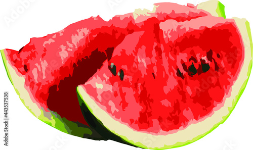 Two slices of juicy watermelon