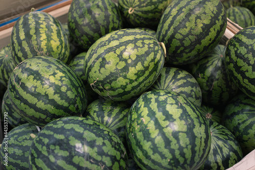 watermelons at the market