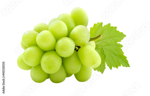 Cutout beautiful bunch of fresh green Shine Muscat grape with leaf isolated on white background