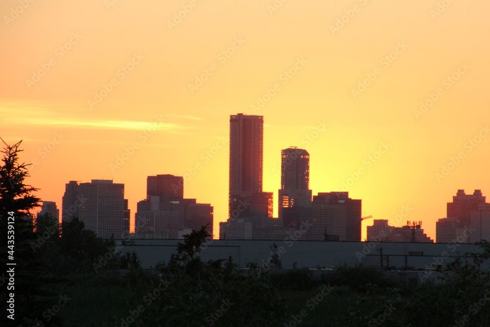Setting Sun Behind The City, Pylypow Wetlands, Edmonton, Alberta Setting Sun Behind The City, Pylypow Wetlands, Edmonton, Alberta
